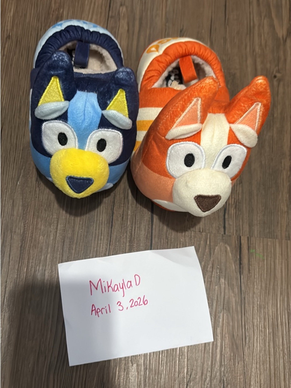 Bluey slippers
